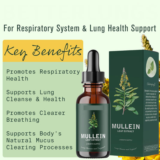 Verbascum Thapsus Leaf Extract Drops – Breathe Better, Naturall - WildSteam Wellness